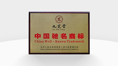 China Well-Known Trademark