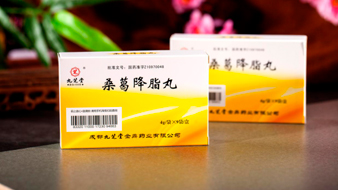 桑葛降脂丸