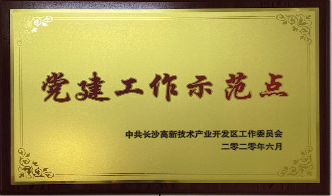 长沙高新区党工委授予中共九芝堂股份有限公司委员会“党建工作示范点”“优秀党务工作者”荣誉称号