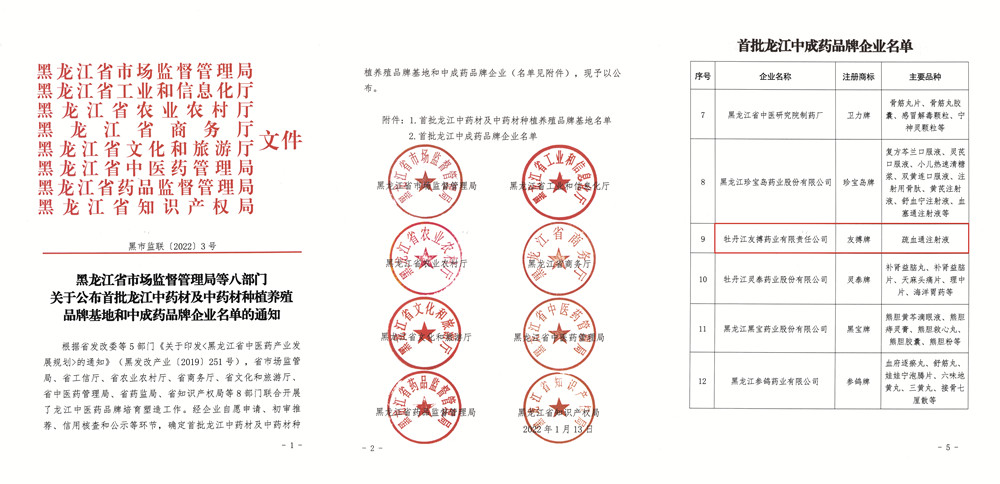 友搏药业喜获“首批龙江中成药品牌企业”荣誉称号